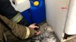 İtfaiye ekipleri, dumandan etkilenen kediyi böyle hayata döndürdü