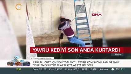 Yavru kediyi böyle kurtardı