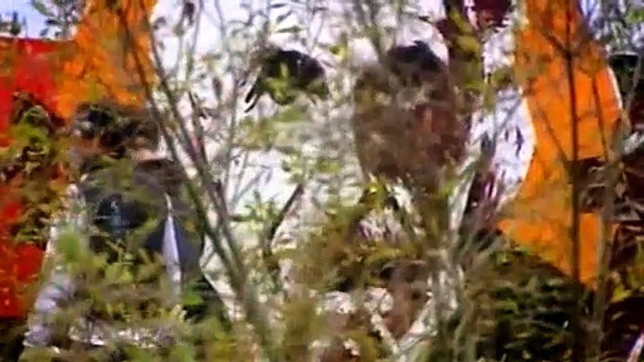 BBC - Horizon - 2005 - Einstein's Equation Of Life And Death