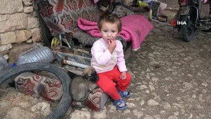 -  37 yıl önce terk edilen köyde bir tek onlar kaldı- 10 yıldır dağın eteğinde yapa yalnız yaşıyorlar- Elektriği güneş panelinden, suyu ise 10 kilometre uzaklıktan getiren aile hayatlarından memnun şekilde yaşıyor
