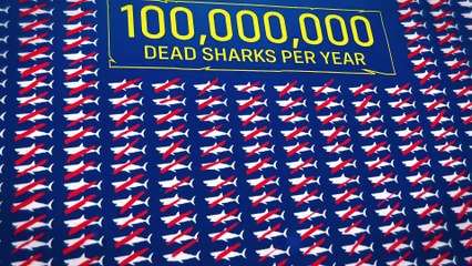 Maneater - Fecha de lanzamiento