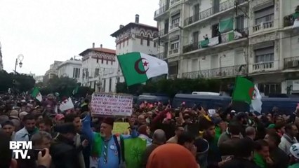 Les images de la marée humaine dans les rues d'Alger contre le nouveau président