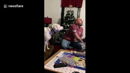 Look at me! Attention-hungry dog needs you to look at her in Ohio