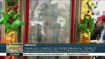 México: miles llegan a la Basílica de Guadalupe en procesión