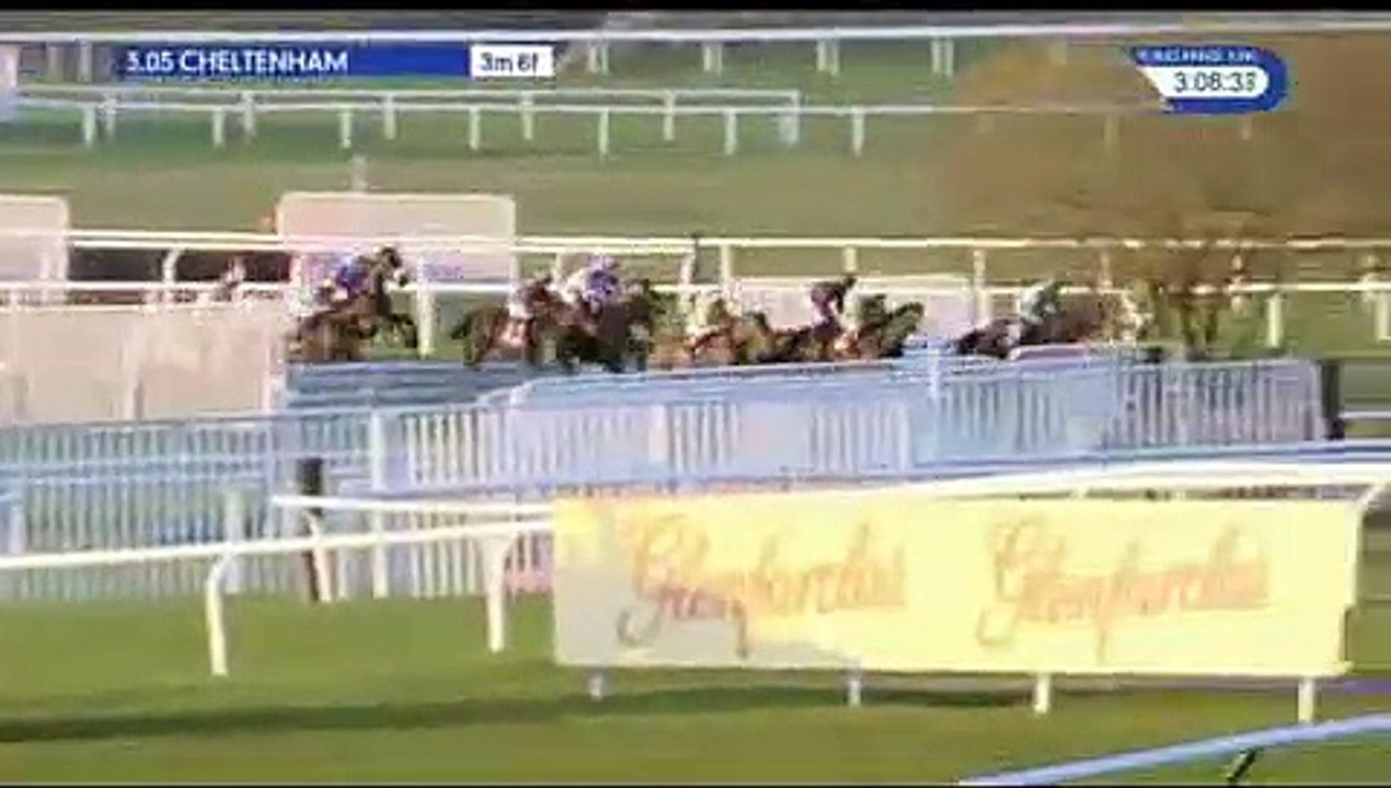 Cross cheltenham easysland-amzing comedy - 13 decembre 2019