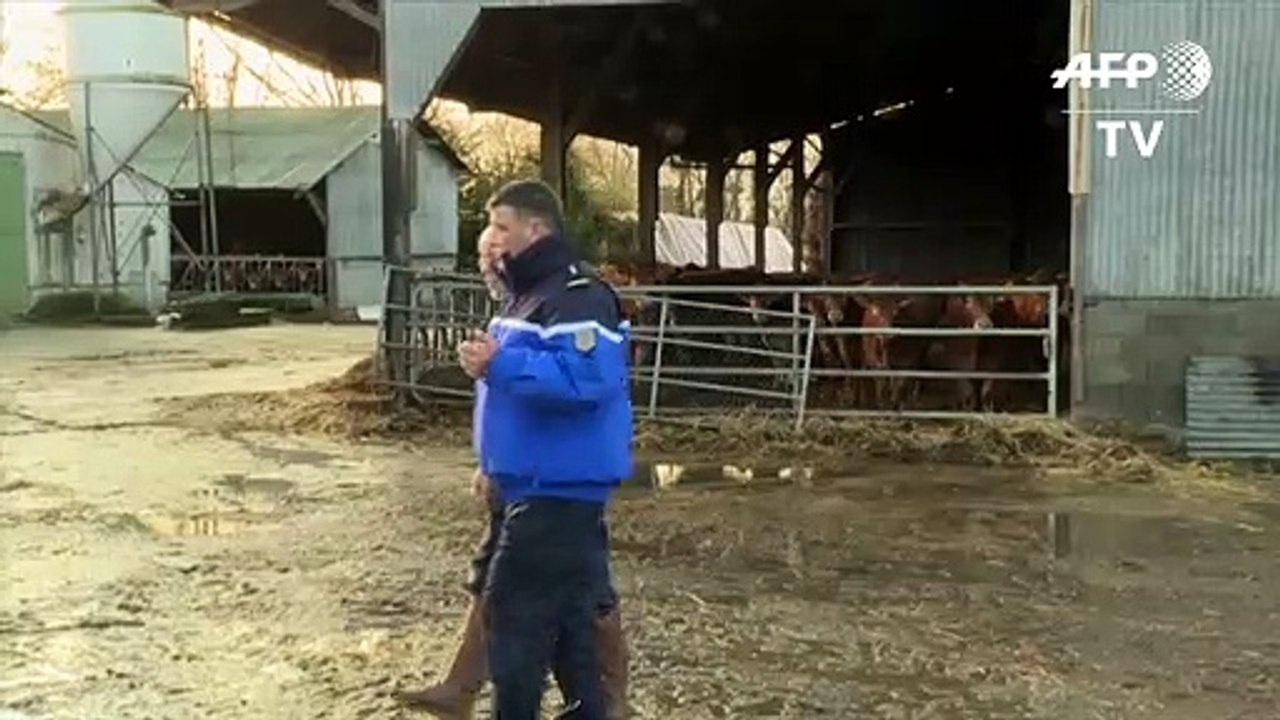 Les gendarmes coachent des agriculteurs face aux intrusions dans les exploitations