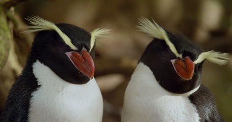 James Blake - I'll Come Too