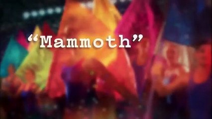 Contemporary Color | 2015 Luminato Festival