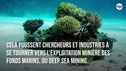 L'avenir des batteries électriques pourrait dépendre de l'exploitation minière des fonds marins