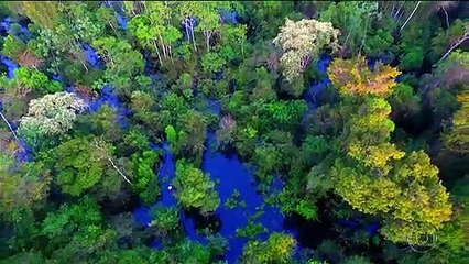 Brasil: La mayor contaminación de la atmosfera esta lejos de las ciudades es la deforestación