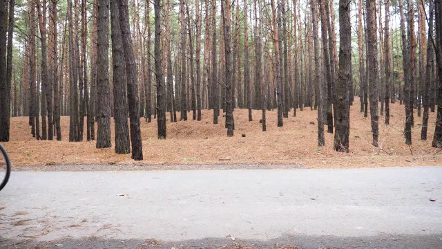 Epic Cycling - Truly Unique Bicycle that Walks