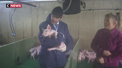 Agriculture : Christophe Castaner présente une cellule de lutte contre l'agribashing