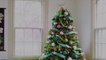 9 Christmas Tree Recycling Tips That Help the Environment
