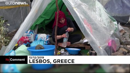 Мигранты на Лесбосе: жизнь в оливковой роще