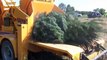 Amazing Latest Destroys & Cutting Tree Excavator Machine - Equipment Processing Tree Machine