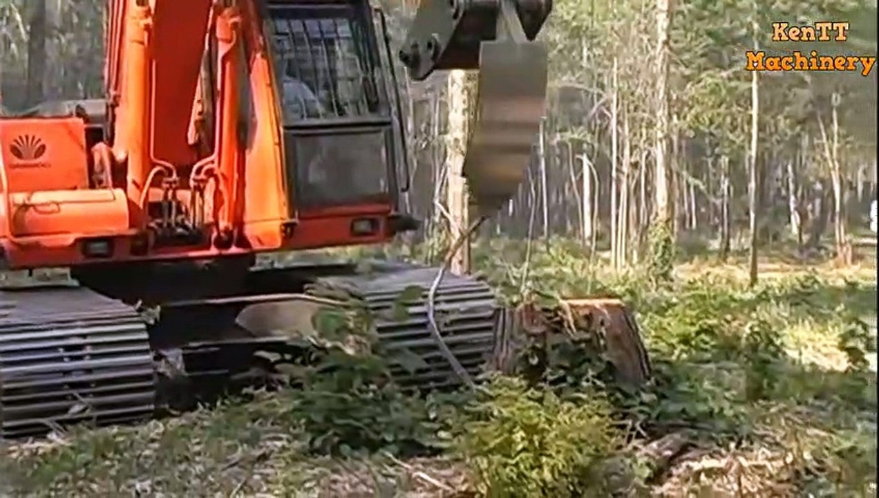 World's Modern Heavy Machine Working - Fast Skill Hydaulic Equipment Shredder Big Tree, Shear Stump