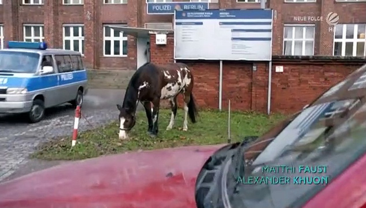 Josephine Klick – Allein unter Cops (1) Die tote Boxerin