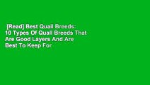 [Read] Best Quail Breeds: 10 Types Of Quail Breeds That Are Good Layers And Are Best To Keep For