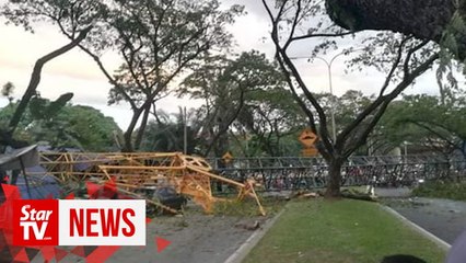 Fallen crane injures four, including baby