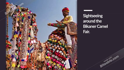 Camel Festivals across Rajasthan