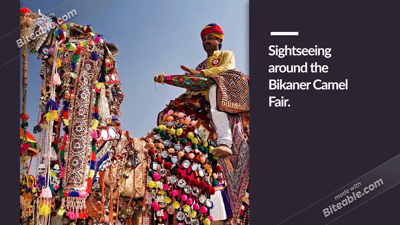 Camel Festivals across Rajasthan