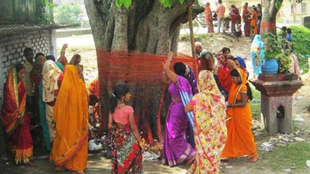 शनिवार के दिन क्यों जरूर करें पीपल पूजा | Benefits of Peepal Tree Worship on Saturday | Boldsky