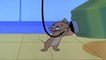 Tom and Jerry   O Solar Meow, Episode 154 Part 2