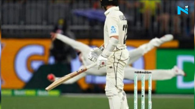 Australia vs New Zealand: Steve Smith takes one of the best catches, watch