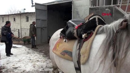 Kredi çekip, gittikleri şampiyonada üçüncü oldular