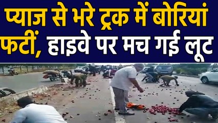 Gujarat में Onion से भरे Truck में बोरियां फटी, देखते ही देखते लुट गया प्याज, Video |वनइंडिया हिंदी
