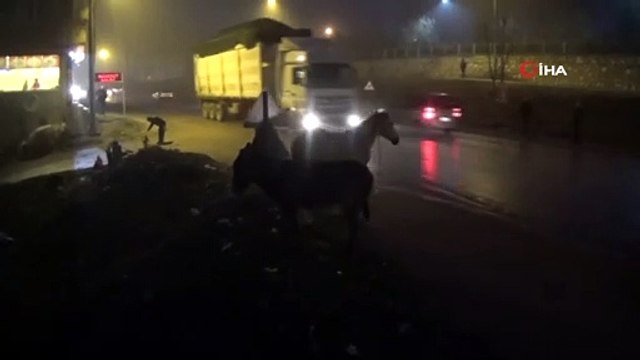 İnegöl'de Başıboş Atlar Tehlike Saçıyor