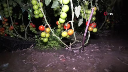 Kaş'ta sağanak sonrası seralar sular altında kaldı