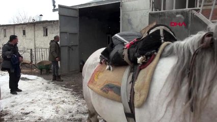 Spor kredi çekerek gittikleri şampiyonada üçüncü oldular