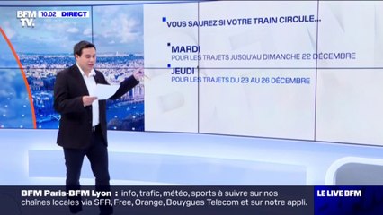 Grève: quand saurez-vous si votre train pour les vacances de Noël circule ?