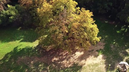 Λορέντζος Γκρέτσας - Της Ζωής Μου Το Βιβλίο (Official Music Video)