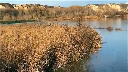 Crecida de los ríos en la Ribera tras recibir la avenida del Arga