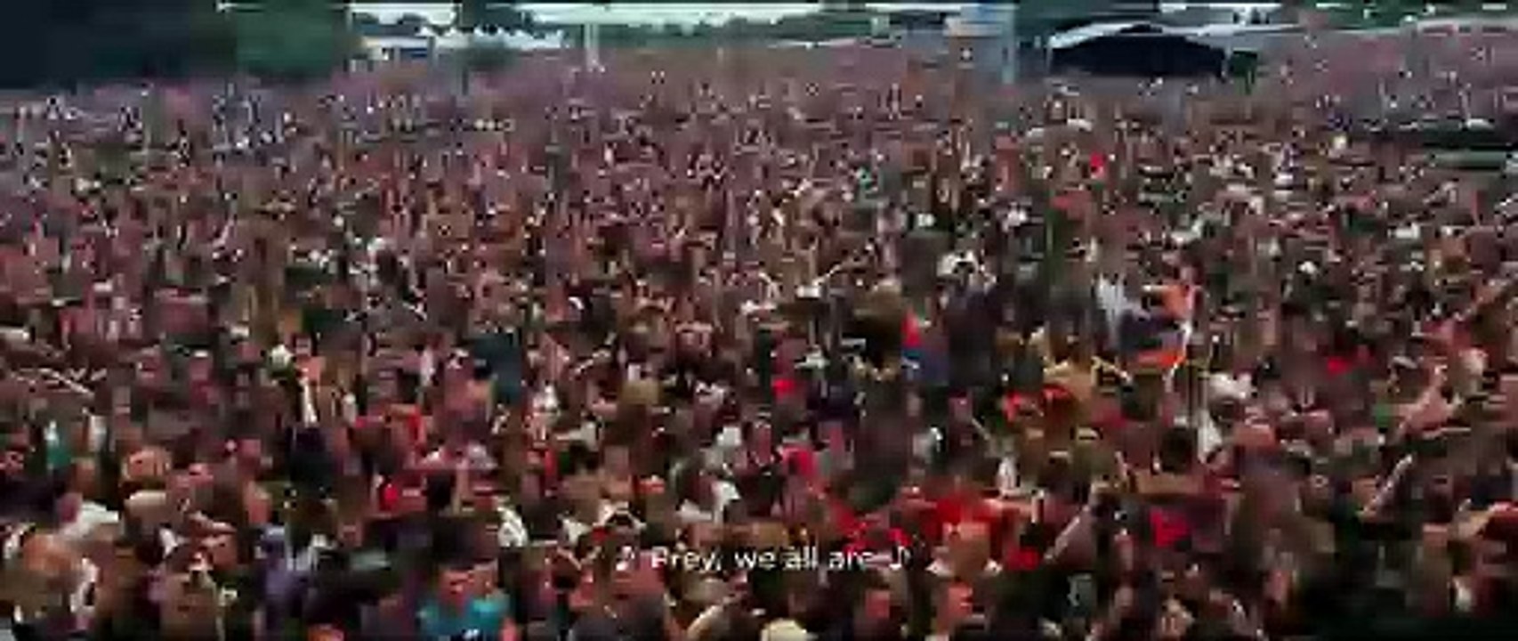 VIVA THE UNDERDOGS  A PARKWAY DRIVE FILM