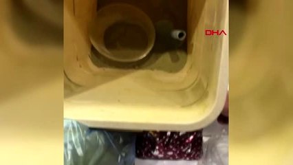 Hediye paketlerinden uyuşturucu çıktı