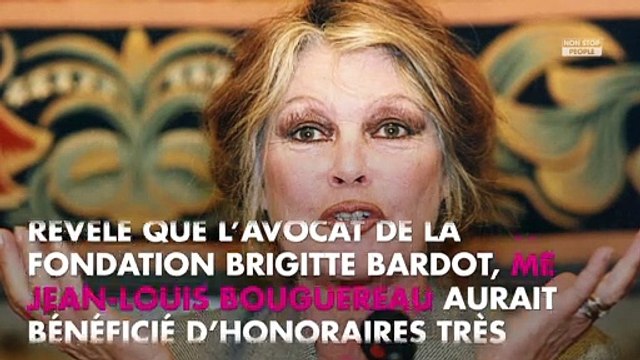 Brigitte Bardot : sa fondation épinglée par la Cour des comptes, elle s’insurge