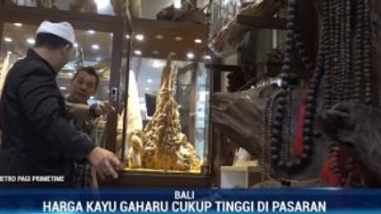 Mengenal Gaharu, Kayu Asal Indonesia Termahal di Dunia