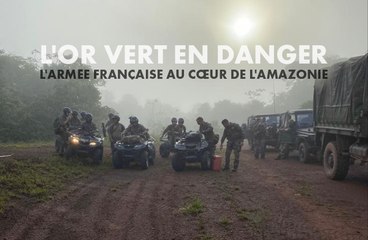 L'or vert en danger : l'armée française au cœur de l'Amazonie