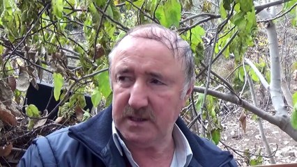 Eşi tarafından darbedilip öldürülen kadının cenazesi Tokat'ta defnedildi - TOKAT