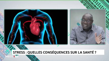 Stress: quelles conséquences sur la santé? - 14/12/2019