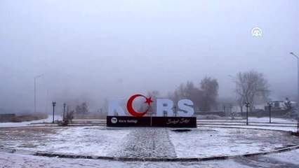 Kars'ta kar ve sis etkili oluyor