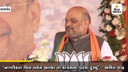 અમે નાગરિકતા બિલ લઇને આવ્યા તો કોંગ્રેસના પેટમાં દુખ્યું - અમિત શાહ