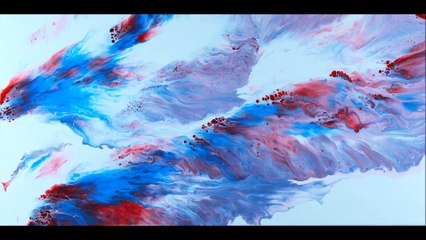 #10 Diving Parrot easy Acrylic Painting Dutch Pour hairdryer Technique