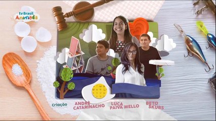 DIARIO DE LULI - PROFISSOES