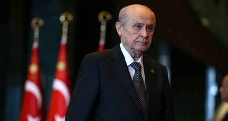 Akademisyen kardeşler, Bahçeli'nin liderliğini yazdı