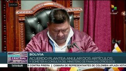 Senado de Bolivia anuncia acuerdo para aprobar Ley de Garantías