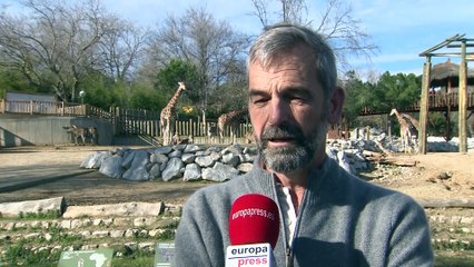 Expertos creen que los zoológicos ayudan a la biodiversidad